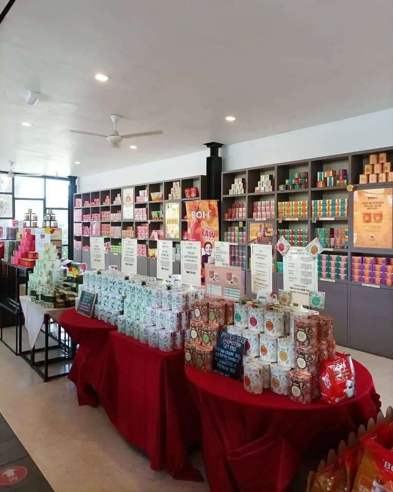 (Weekend Trip) 2D1N Cameron Highlands Itinerary - Boh Tea Centre