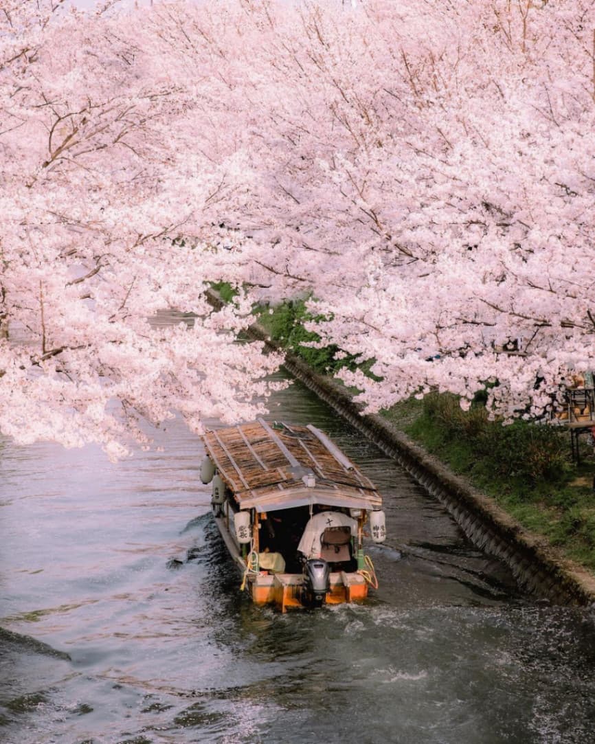 Epic Incentive Getaways - Kyoto, Japan