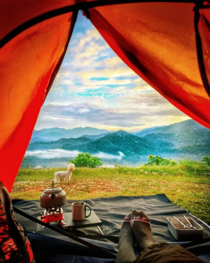 11 Campsites Tailored to Foster Team Building Triumphs in Malaysia: Willow Tree Campsite