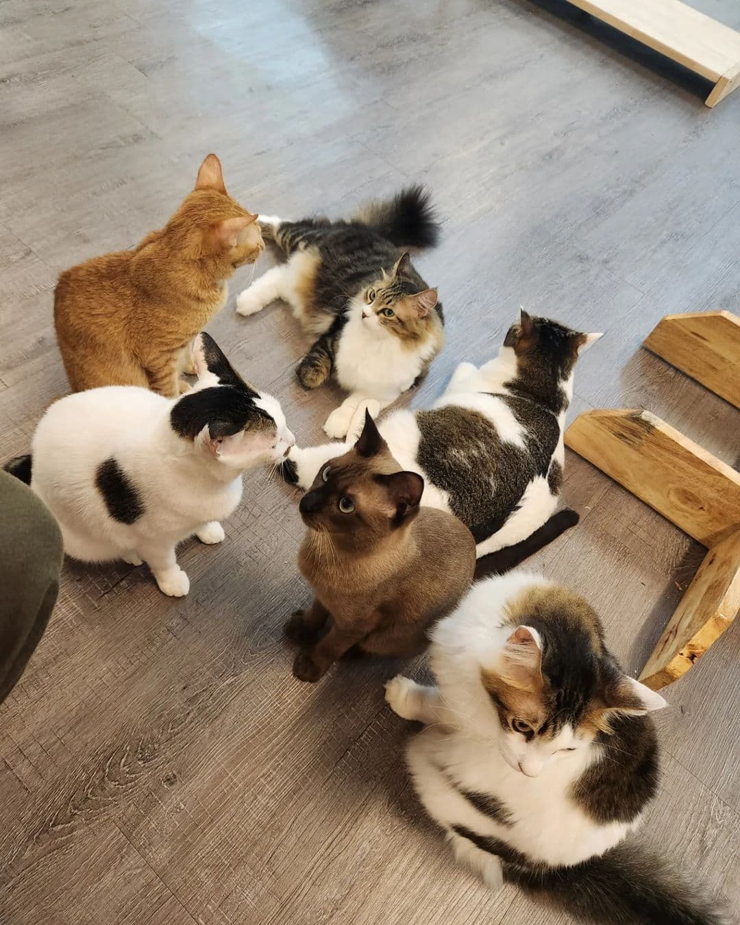 Historical Team Bonding: Ideal 2 Days 1 Night Malacca Corporate Retreat Itinerary - The Cat Palace