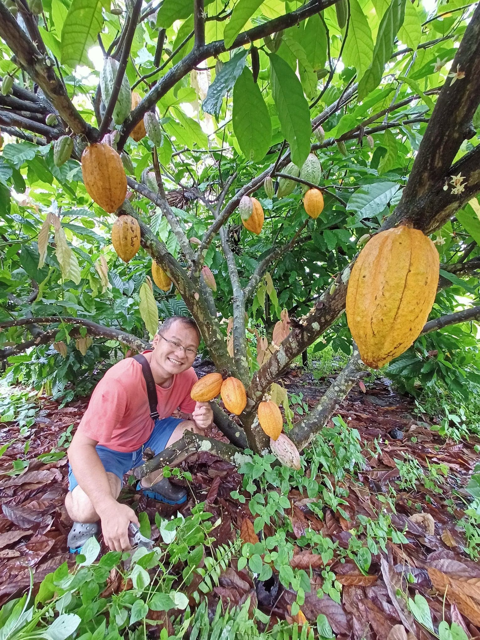 (Klang Valley) Top 11 Team-Building Activities for Senior Professionals: Lee's Cocoa Farm