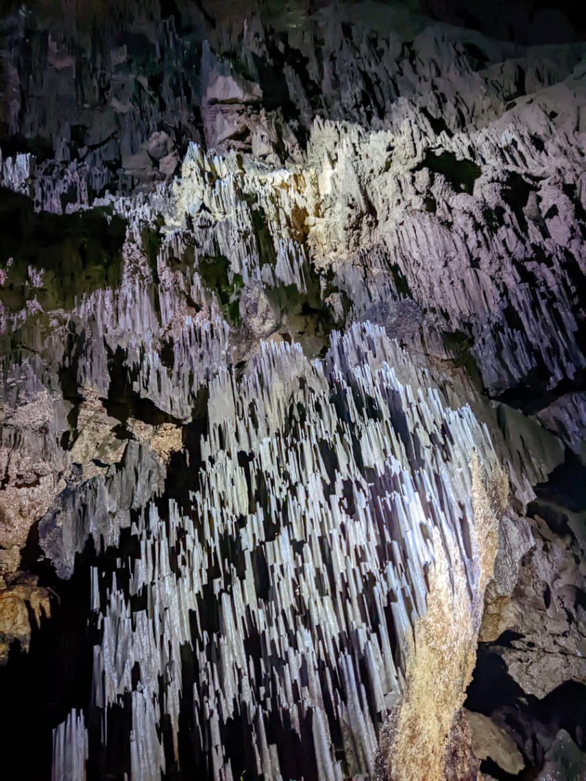 (Miri's Nature Wonder) 3D2N Corporate Retreat Itinerary in Sarawak - Clearwater Cave