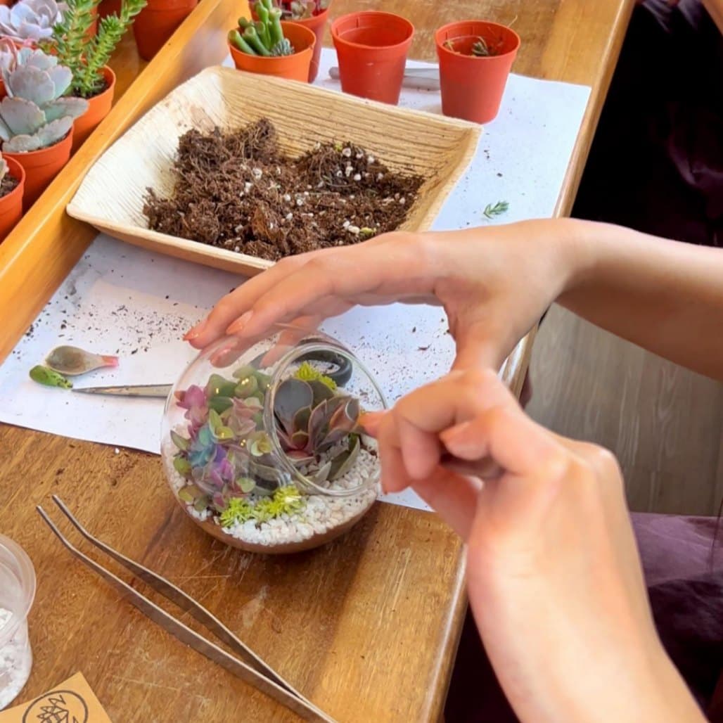 (Klang Valley) 11 Non-Tiring Activities for a Connected Ramadan With the Team: Little Eden Succulents Studio