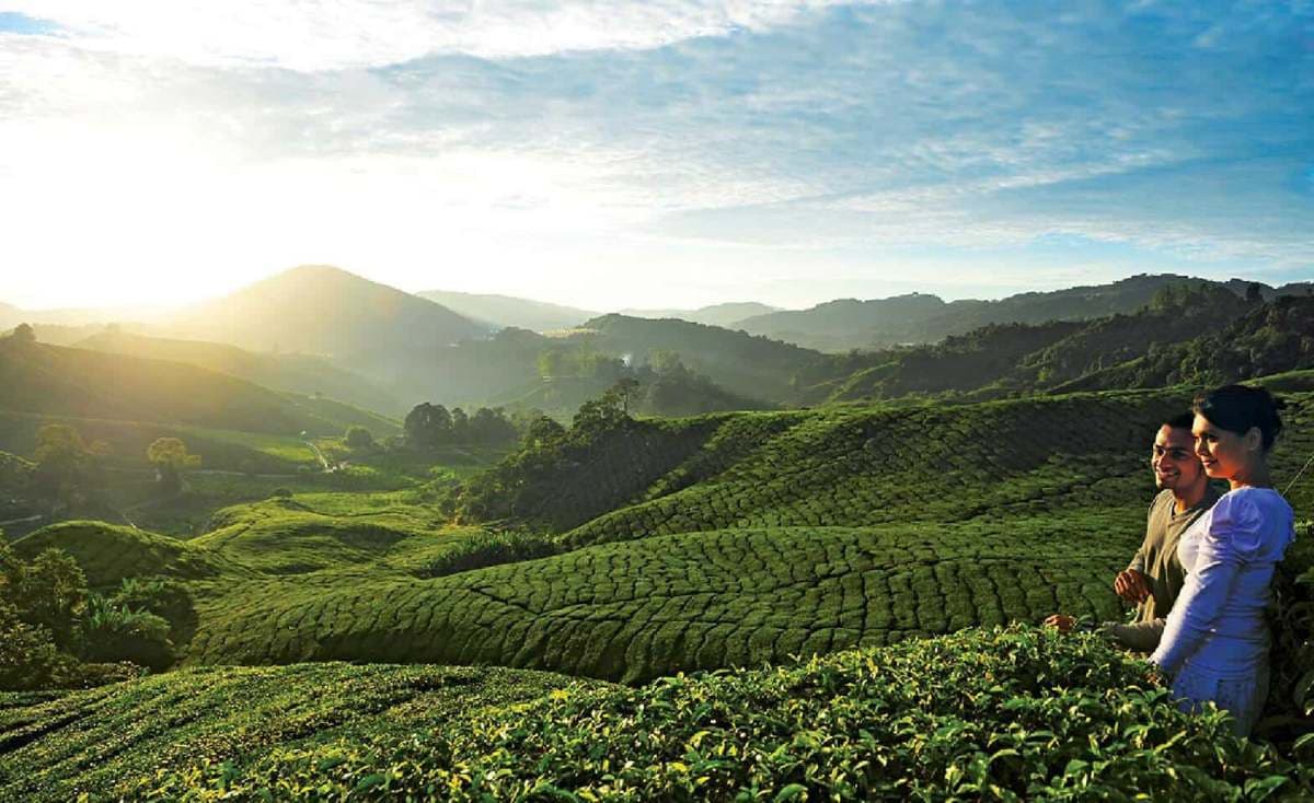 (Weekend Trip) 2D1N Cameron Highlands Itinerary - Sunrise