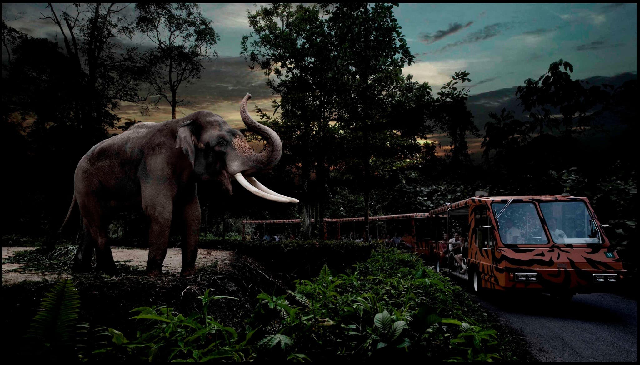 From Gardens to Skyline: A 3D2N Team Building Itinerary in Singapore - Night Safari Mandai Wildlife