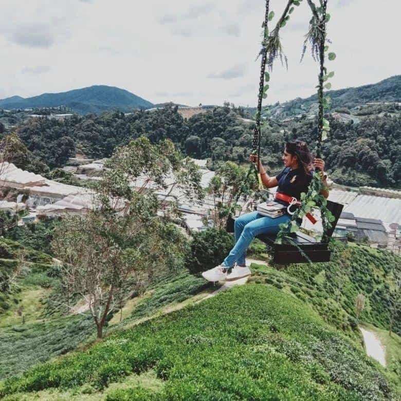 (Weekend Trip) 2D1N Cameron Highlands Itinerary - Cameron Adventures ATV & Safari (Air Swing)