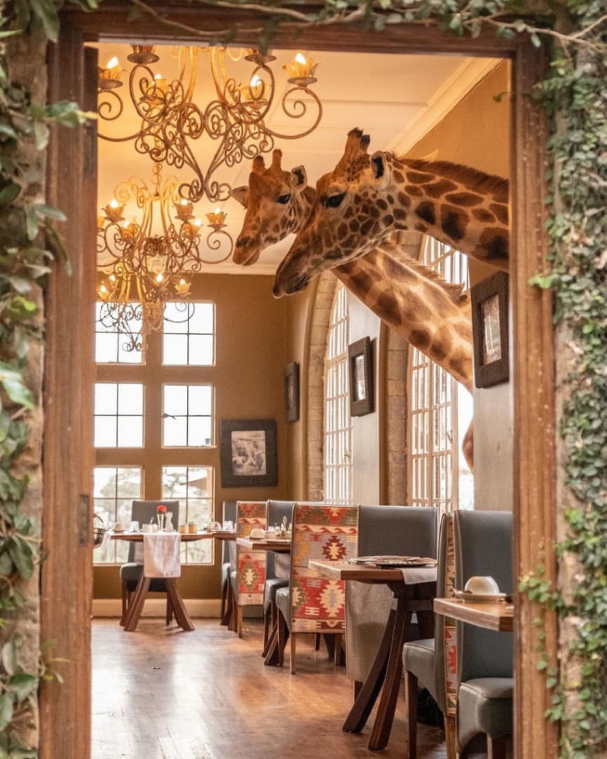 Epic Incentive Getaways - South Africa