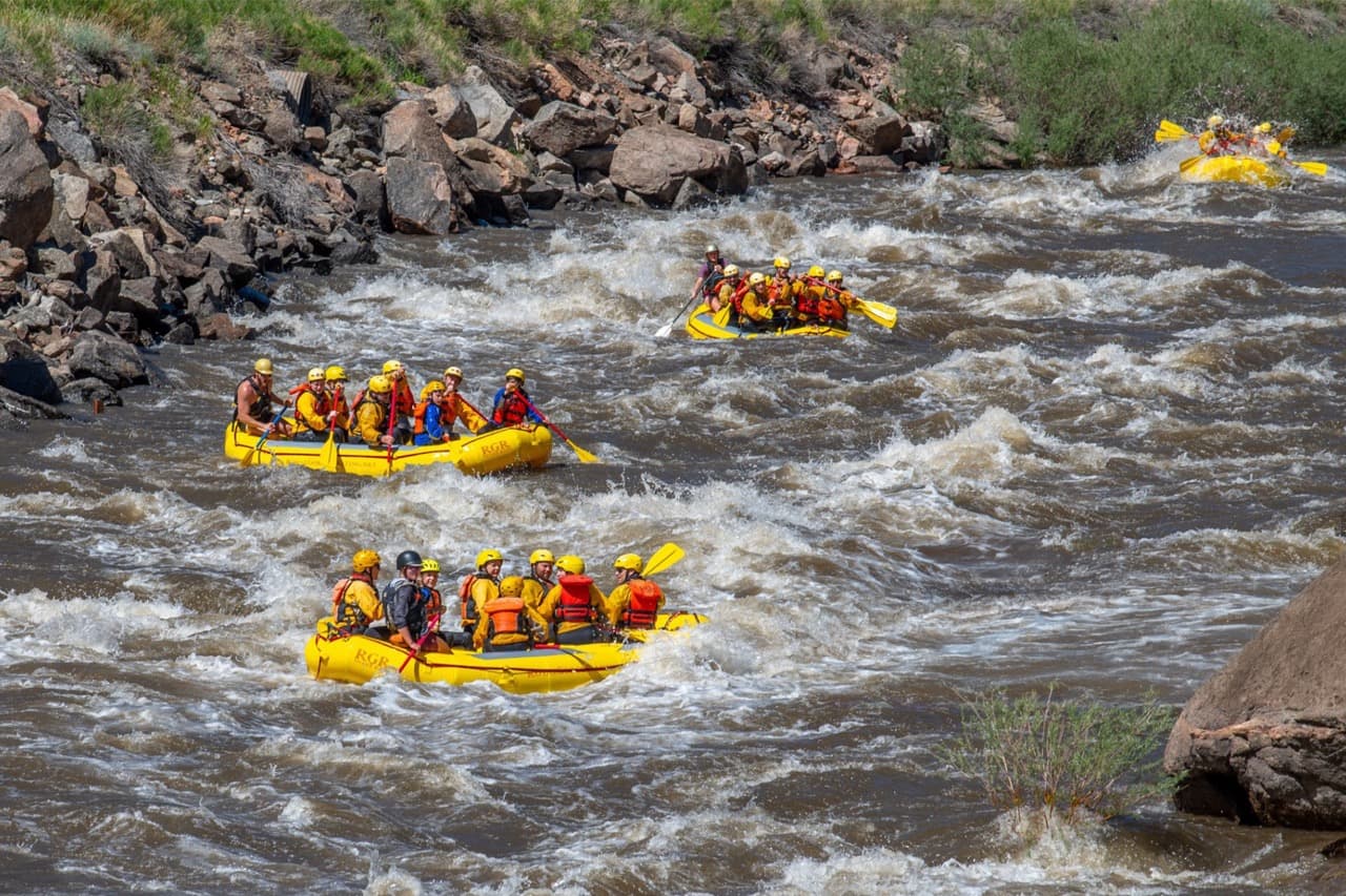 Tailor Activities to Team Needs