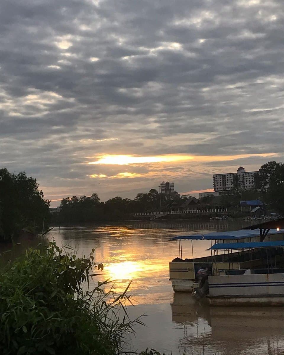 Rediscover the South: A 3D2N Johor Corporate Retreat Itinerary - Kota Tinggi Firefly Park