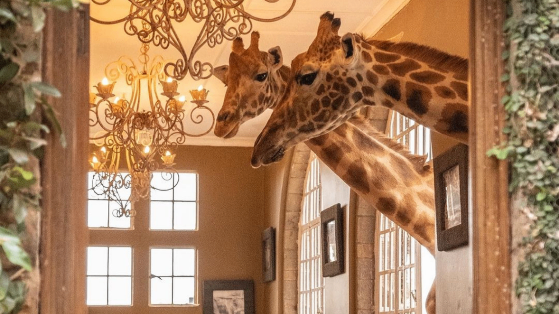 Giraffe Manor in South Africa