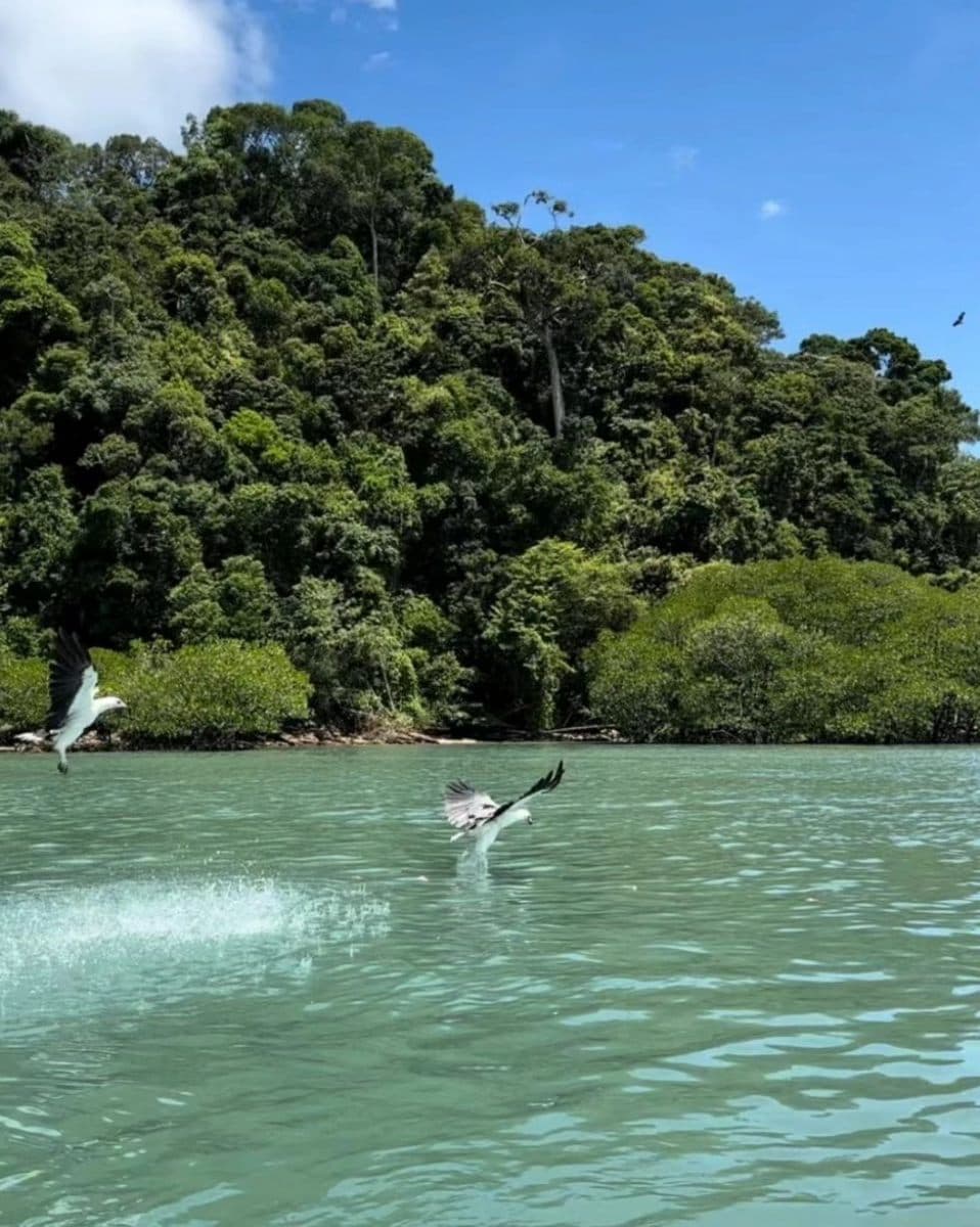 10 Nature-Inspired Activities in Malaysia for Stronger Connections: Langkawi Island Hopping