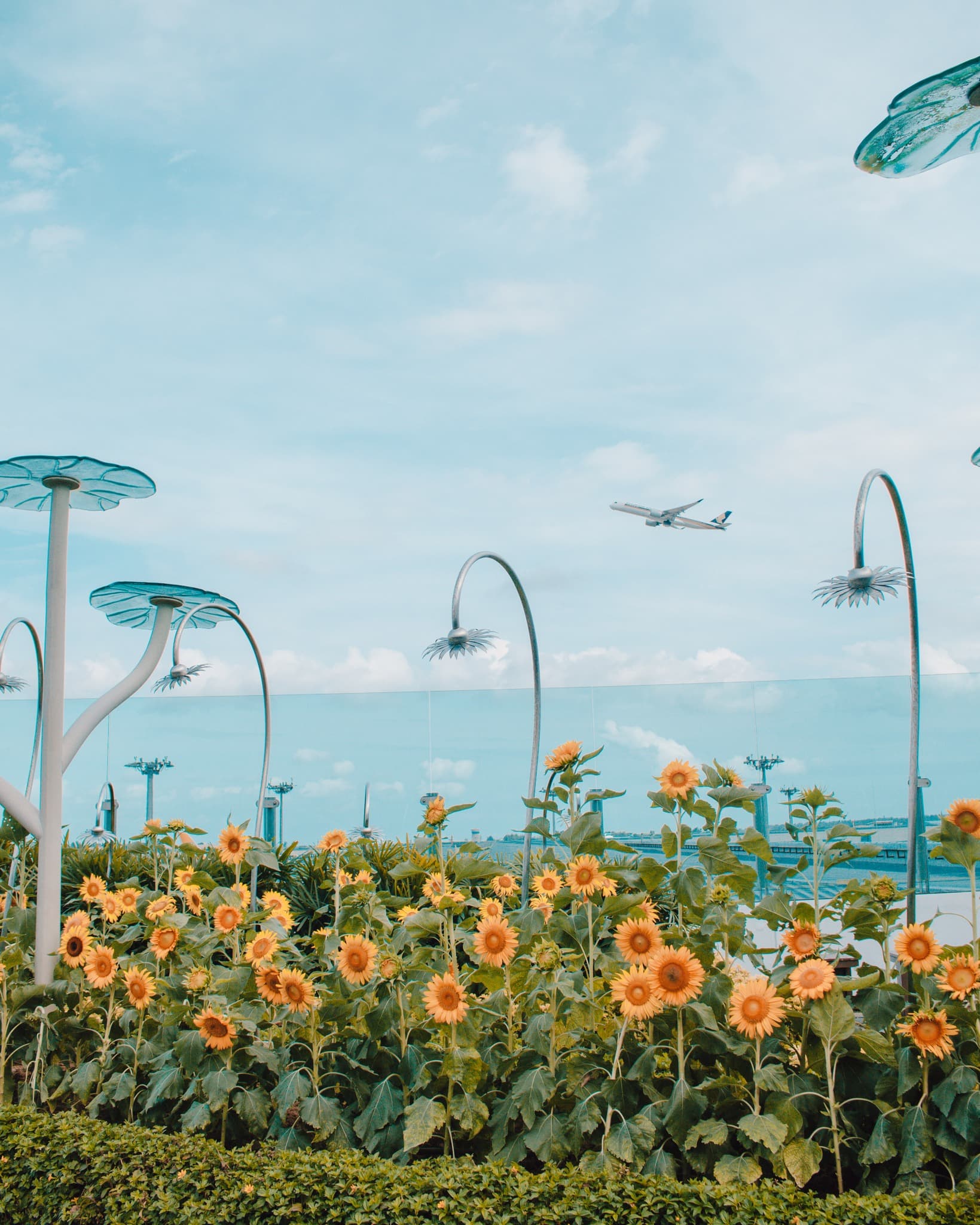 From Gardens to Skyline: A 3D2N Team Building Itinerary in Singapore - Changi Airport